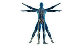Cadinouche Physiotherapy Cadinouche Physiotherapy